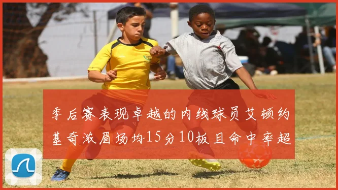 季后赛表现卓越的内线球员艾顿约基奇浓眉场均15分10板且命中率超60